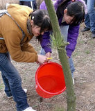 植树节资环学院大学生开展美化校园活动